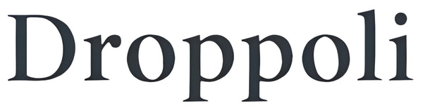 Droppoli logo in black on a light gray background