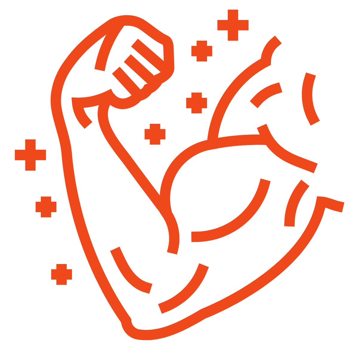 Illustration of a muscular arm flexing with red outline on a white background